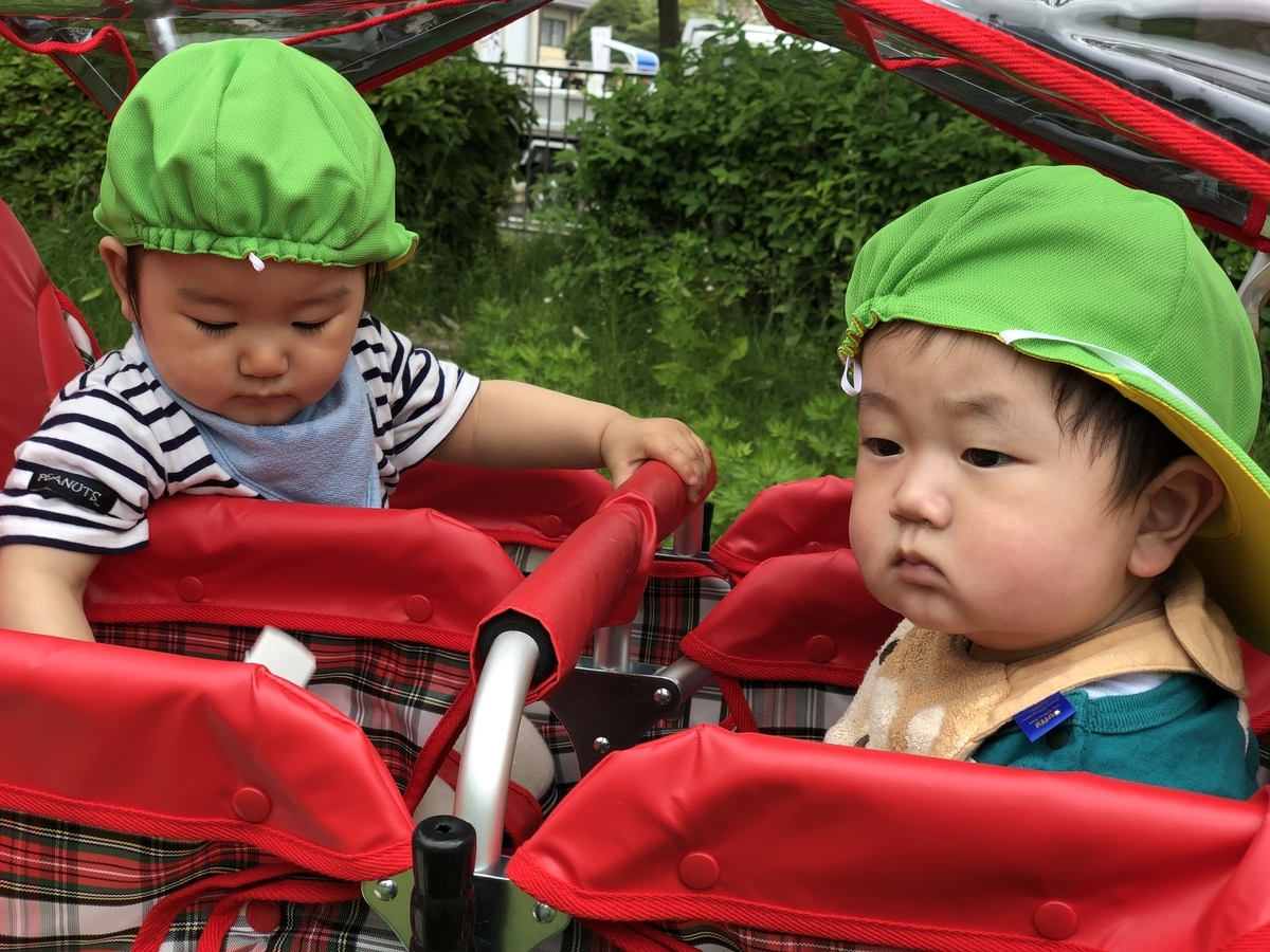 f:id:asuikuhoikuen:20190530164948j:plain