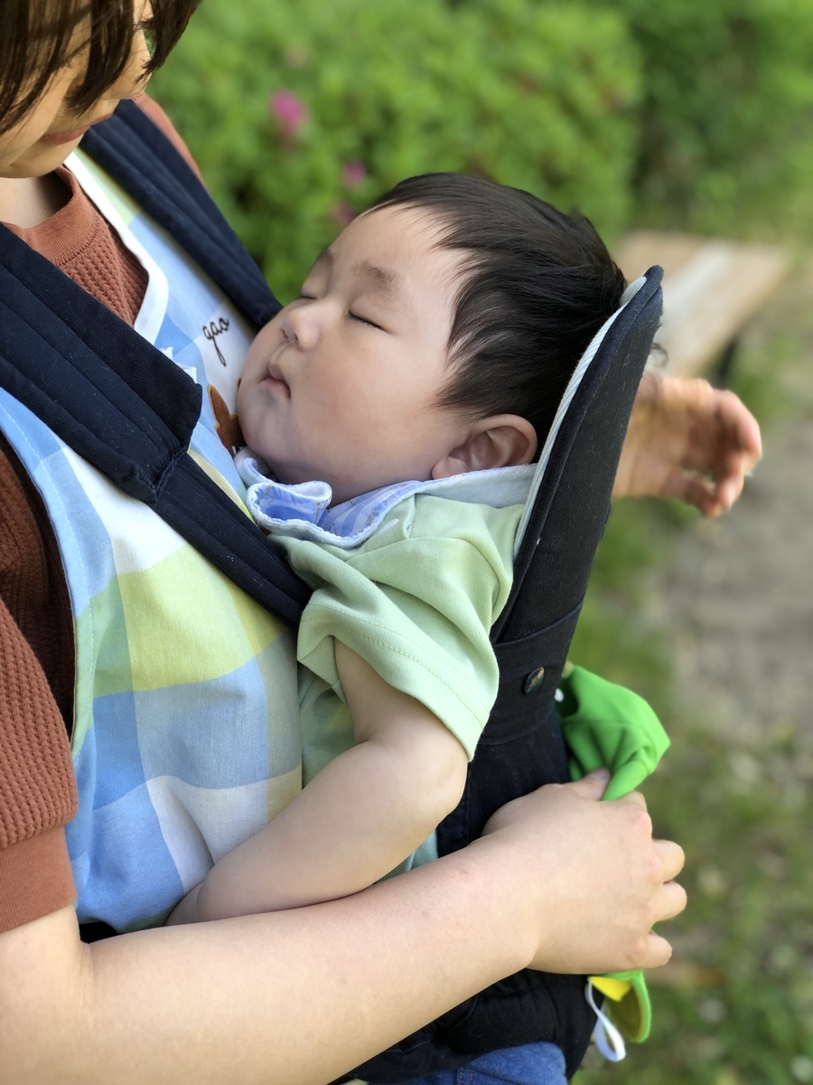 f:id:asuikuhoikuen:20190607164325j:plain f:id:asuikuhoikuen:20190607164325j:plain