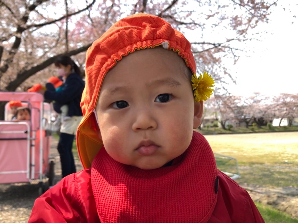 f:id:asuikuhoikuen:20200416154054j:plain