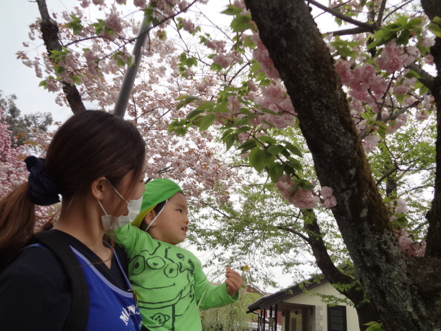 f:id:asuikuhoikuen:20200501115235j:plain