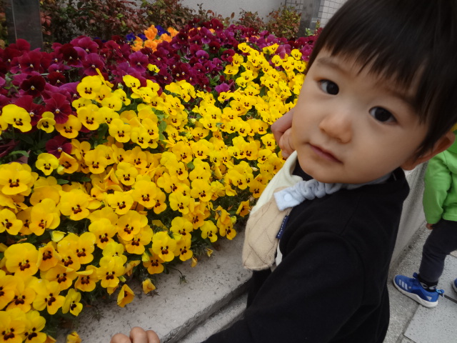 f:id:asuikuhoikuen:20200501115345j:plain