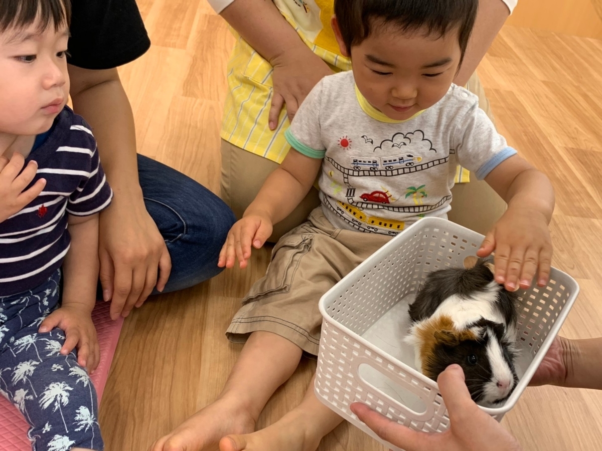 f:id:asuikuhoikuen:20200630153349j:plain f:id:asuikuhoikuen:20200630153349j:plain