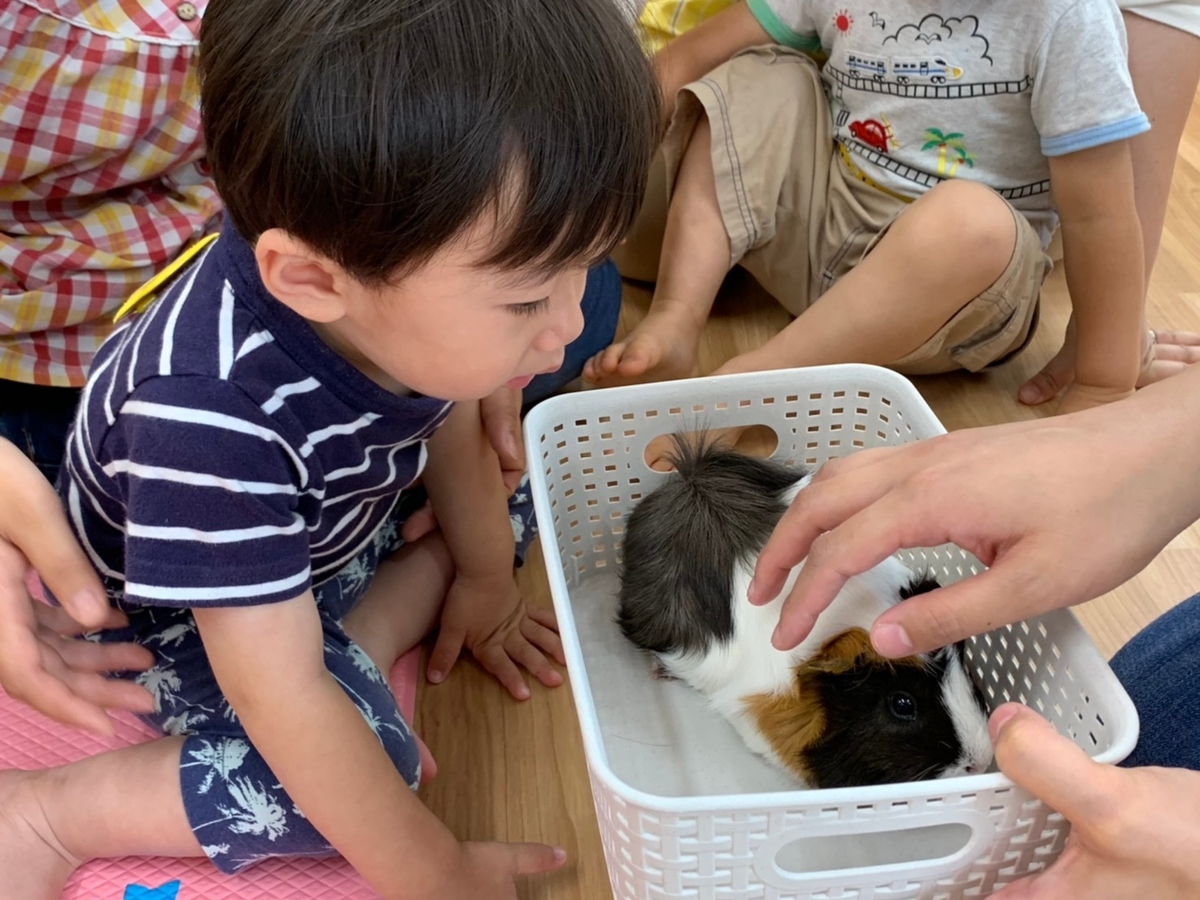 f:id:asuikuhoikuen:20200630153456j:plain f:id:asuikuhoikuen:20200630153456j:plain