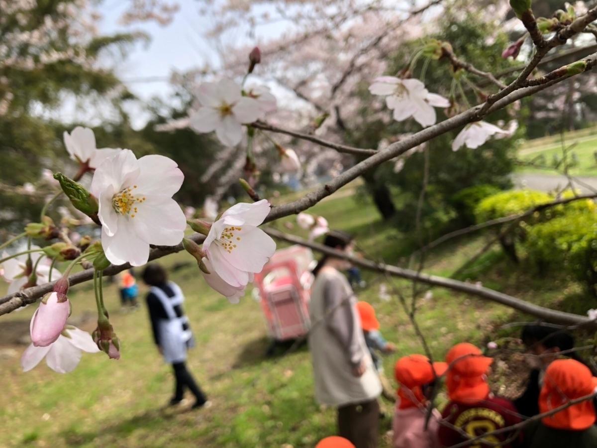 f:id:asuikuhoikuen:20210402145201j:plain