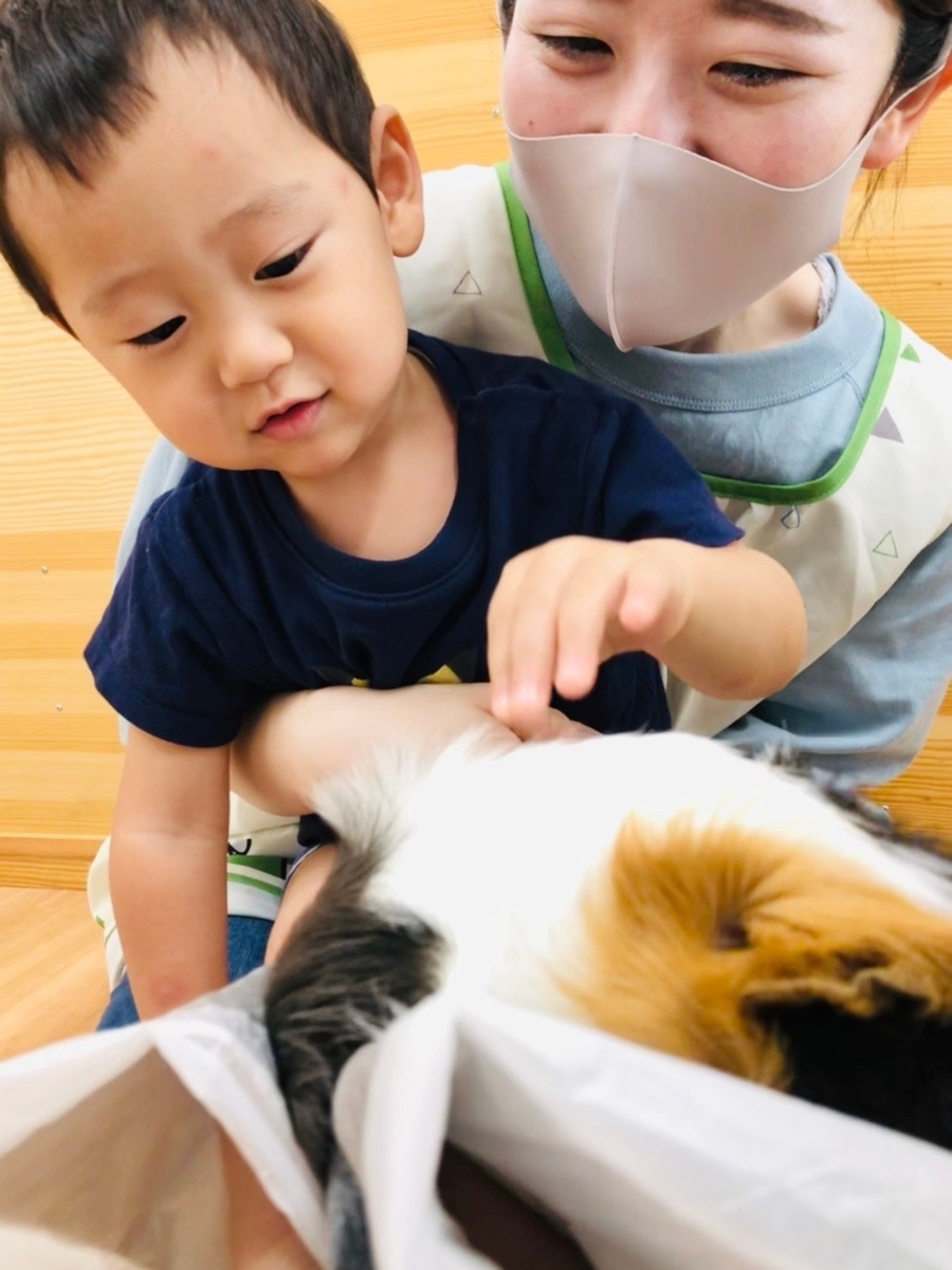 f:id:asuikuhoikuen:20210727144428j:plain