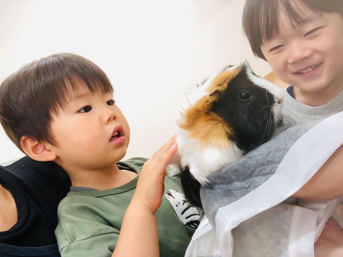 f:id:asuikuhoikuen:20210727144440j:plain