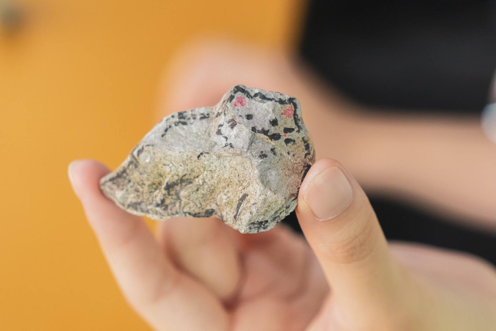 e89666feb714ab9c3946f28f00c5d8c4-1755748985.jpg e89666feb714ab9c3946f28f00c5d8c4-1755748985.jpg