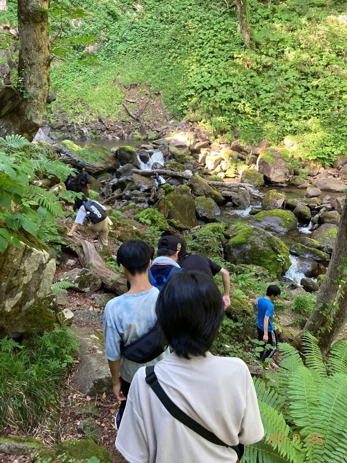 8cda81fc7ad906927144235dda5fdf15-1755748740.jpg 8cda81fc7ad906927144235dda5fdf15-1755748740.jpg