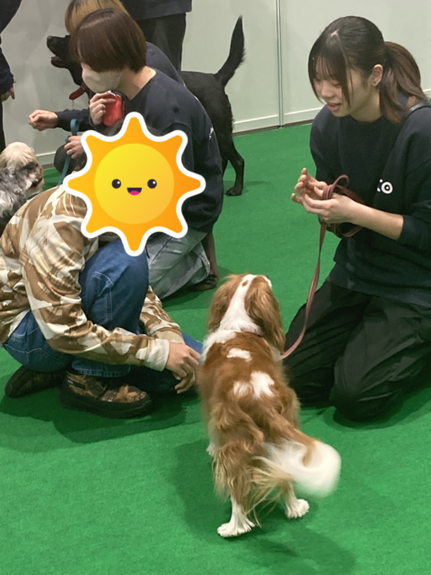 職業体験フェスタに参加してきました