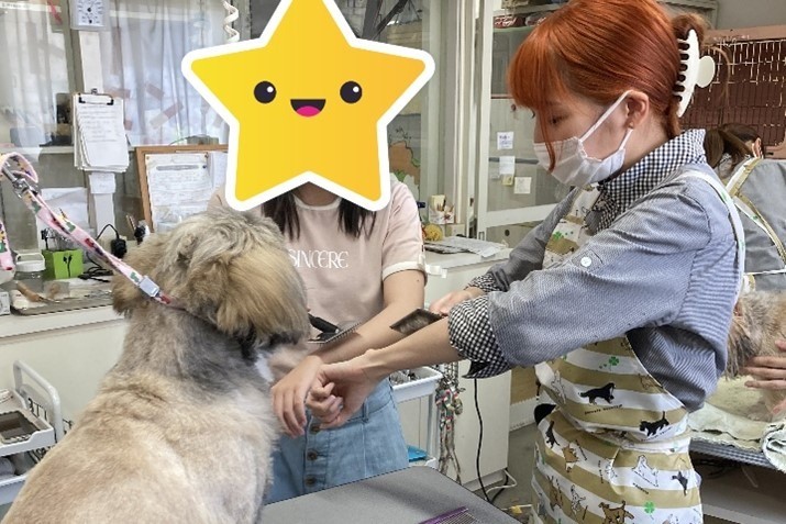 ペットショップで職業体験をしてきました！🐶