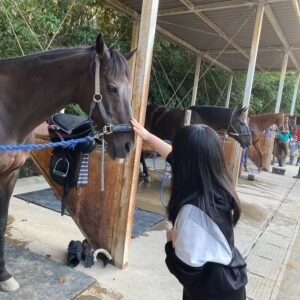 🐎乗馬体験！！