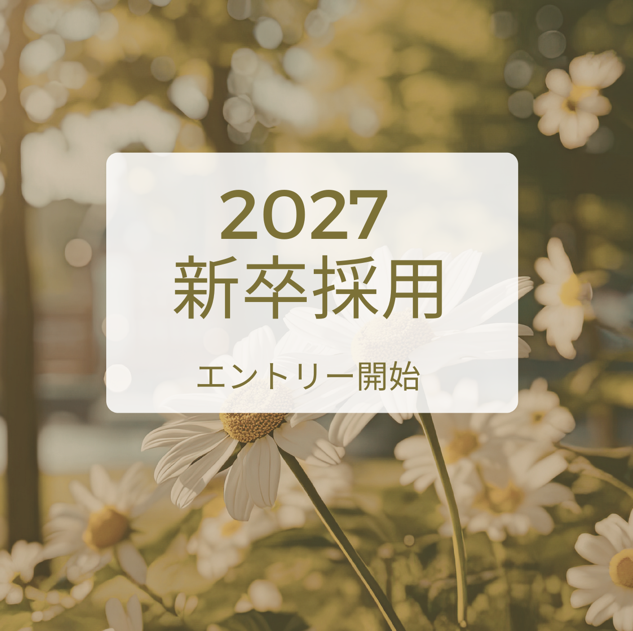 【2027卒】新卒者採用のお知らせ
