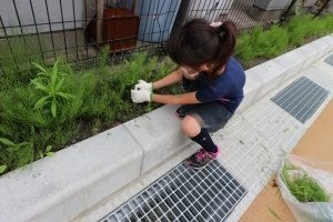 植物の世話をしてくれました♪