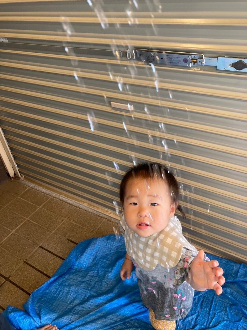 水あそび、はじめました🎵