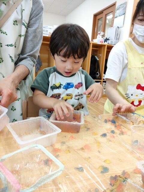 寒天遊びをしました🫗🧊