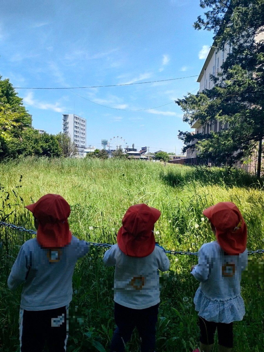 初夏のお散歩！最近はいい天気✨